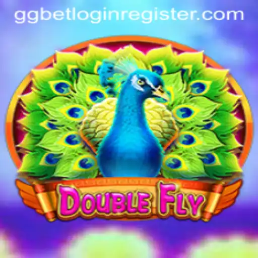 DoubleFly: The Ultimate Aerial Adventure